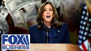 Fmr WH economist torches Harris’ ‘chilling’ tax reform plan