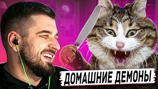 HARD PLAY REACTION TO THE BEST CAT JOKES VIDEOS OF ALL TIME #1