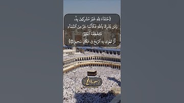 سورة الحج الآية ٣٠ و ٣١ بصوت الشيخ محمد صديق المنشاوي