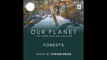 Every Year There Are Others | Our Planet: The Complete Collection OST