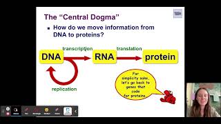 Celebrity Chapter 14 Part 1 Gene Expression Profile