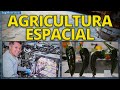 AGRICULTURA ESPACIAL en LA ESTACION ESPACIAL INTERNACIONAL EEI ALIMENTOS CULTIVADOS EN EL ESPACIO