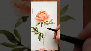 Loose watercolor Peony