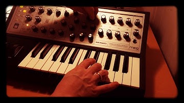 MOOG SUB PHATTY JAM