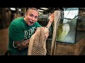 HUGE ANACONDA SHEDS UNDERWATER!! CAUGHT ON FILM!! | BRIAN BARCZYK