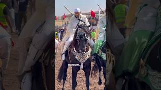 مبروك 🐎 اللهم بارك ما شاء الله #تبوريدة #السالمي #التبوريدة_تراث_شعبي_مغربي_أصيل