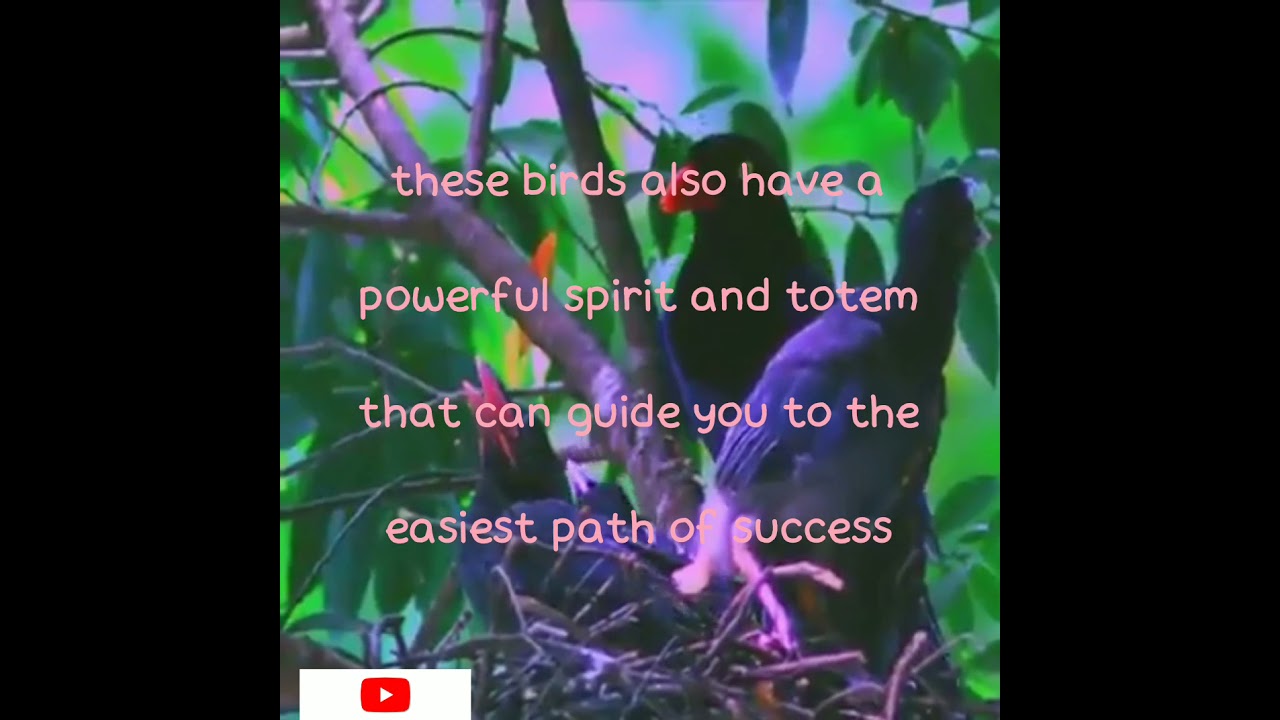 magpies symbolic and meaning