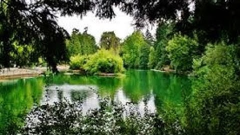 من اجمل التلاوات عذوبة ترق لها القلوب " تلاوة خاشعة "