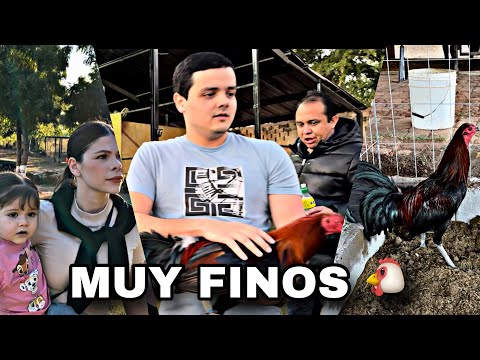 ME LLEGARON LOS GALLOS AL RANCHO SANTA JULIA 🐓🤠 |ELKC|