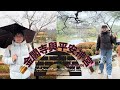 EP13.京都金閣寺與平安神宮一日遊