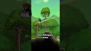 EVERYTHING Weird About Trees in Terraria!