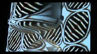 Digital Graffiti 2011