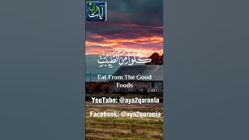 يا أيها الرسل كلوا من الطيبات سورة المؤمنون القارئ عبدالرحمن مسعد