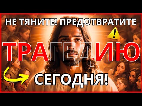 Video: Сырткы тал - адамдарга кубаныч тартуулай турган ыйлаган дарак