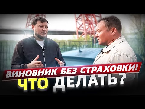 Видео: ВИНОВНИК ДТП без СТРАХОВКИ! ЧТО ДЕЛАТЬ если НЕТ полиса ОСАГО?