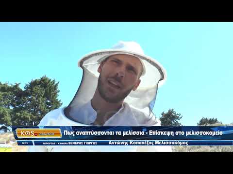 Πως αναπτύσσονται τα