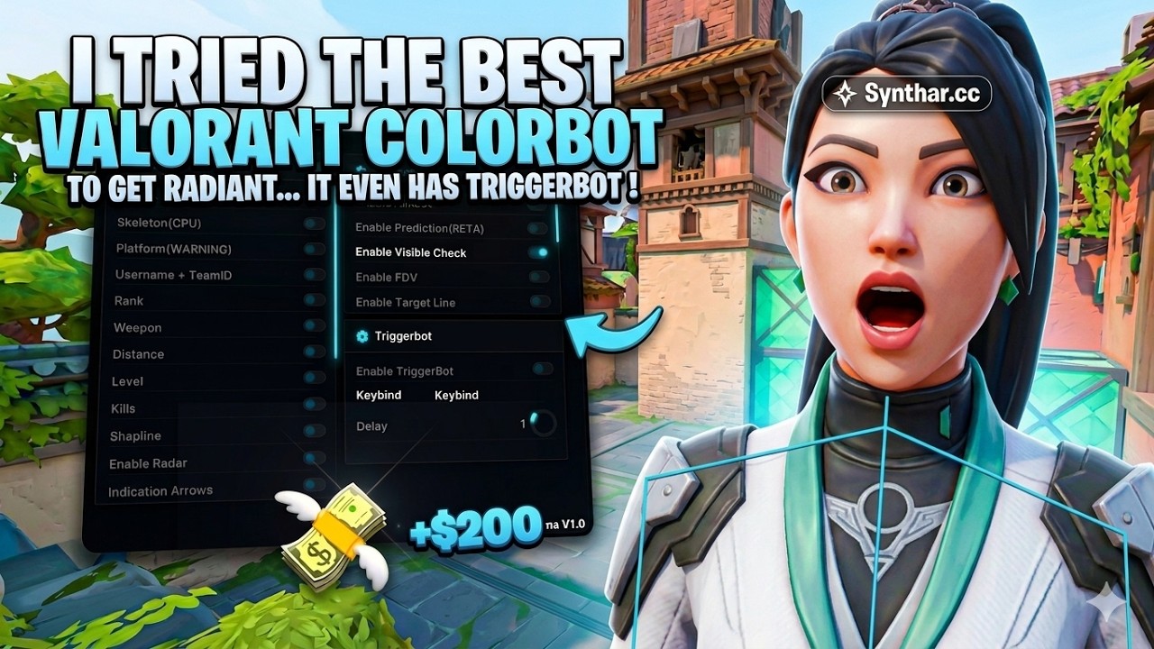 I Tried the Best Valorant Colorbot to Get Radiant... IT EVEN HAS ...