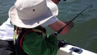 Toddler catching smelt in the Bay