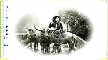 Curso ( Tutorial ) de Dart para Flutter - O loop while - Aula 25