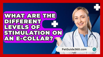 What Are the Different Levels of Stimulation on an E-Collar? - PetGuide360.com
