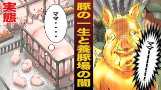 【漫画】麻酔なしで何度も・・・豚の生涯！養豚場の闇【実態】【再編集版】 screenshot 2