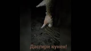 Срочно!!Ин часад соати 2-и шаб пайдо шуд 😱😱😱