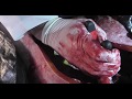 D6-12 Advanced Diploma SFX Makeup video