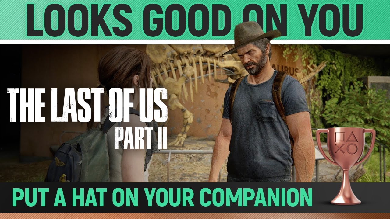 Looks Good On You Trophy Guide (Put a Hat On Your Companion)