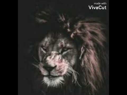 من شخصك نشوف الشمس