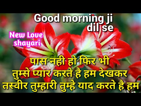 Good Morning 💕💕 | Shayari | Good Morning Shayari | Good Morning Status | Wishes For Everyone