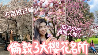 [英國櫻花] 倫敦春季必去！3大賞櫻名所推薦🌸 可媲美日韓！哪個是私心推介？拍照時如何避開人群？