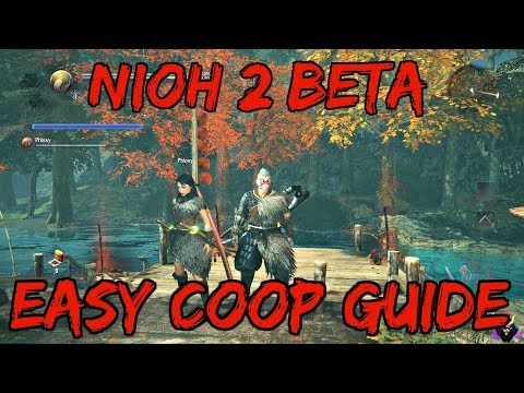NioH 2 BETA | Easy COOP Guide