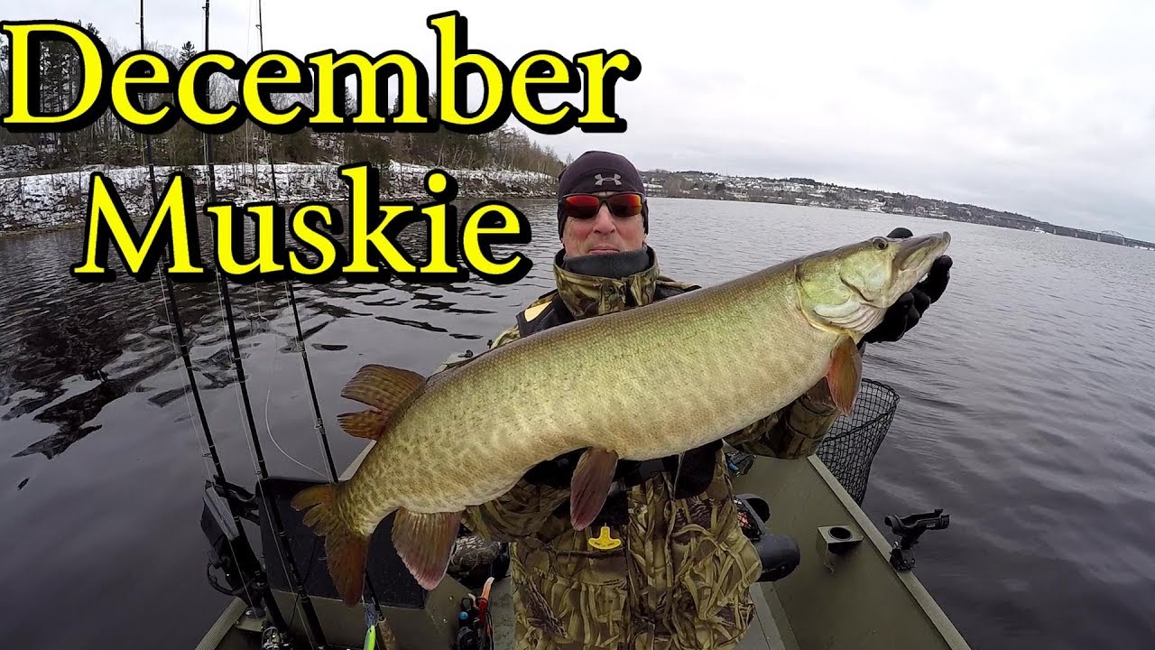 December Muskie Fishing On the East Coast2018 YouTube