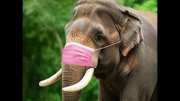 InergyFlo - Pink Jam No Voclas 3a - 11-10-24