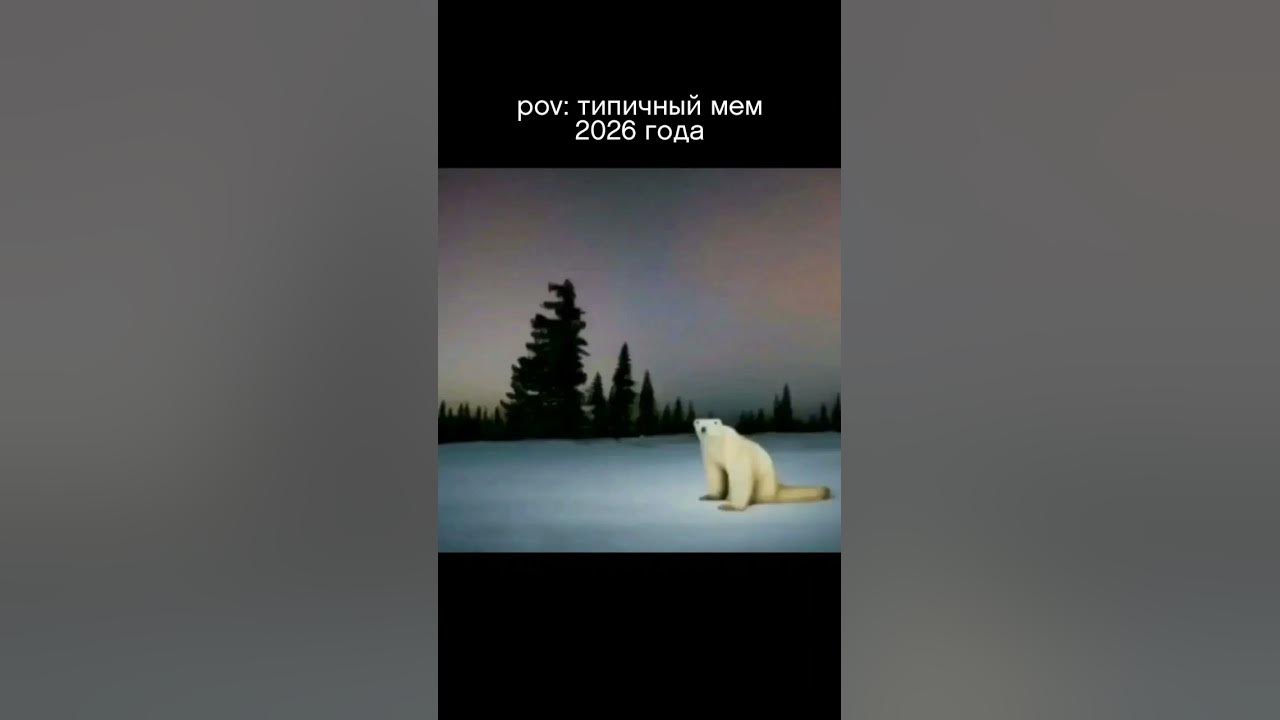 2026 год медведя мем вся правда