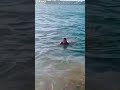 Porto Seguro bahia
