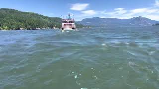 Oc1 Outrigger Surfing SternWheeler action 🌊🌊 Stevenson 2021