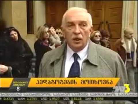 მაია კობახიძემ(Maia Kobakhidze)ხელმოწერები პარლამენტში შეიტანა