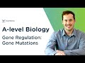 Mutations and Their Impact on Genetic Inheritance