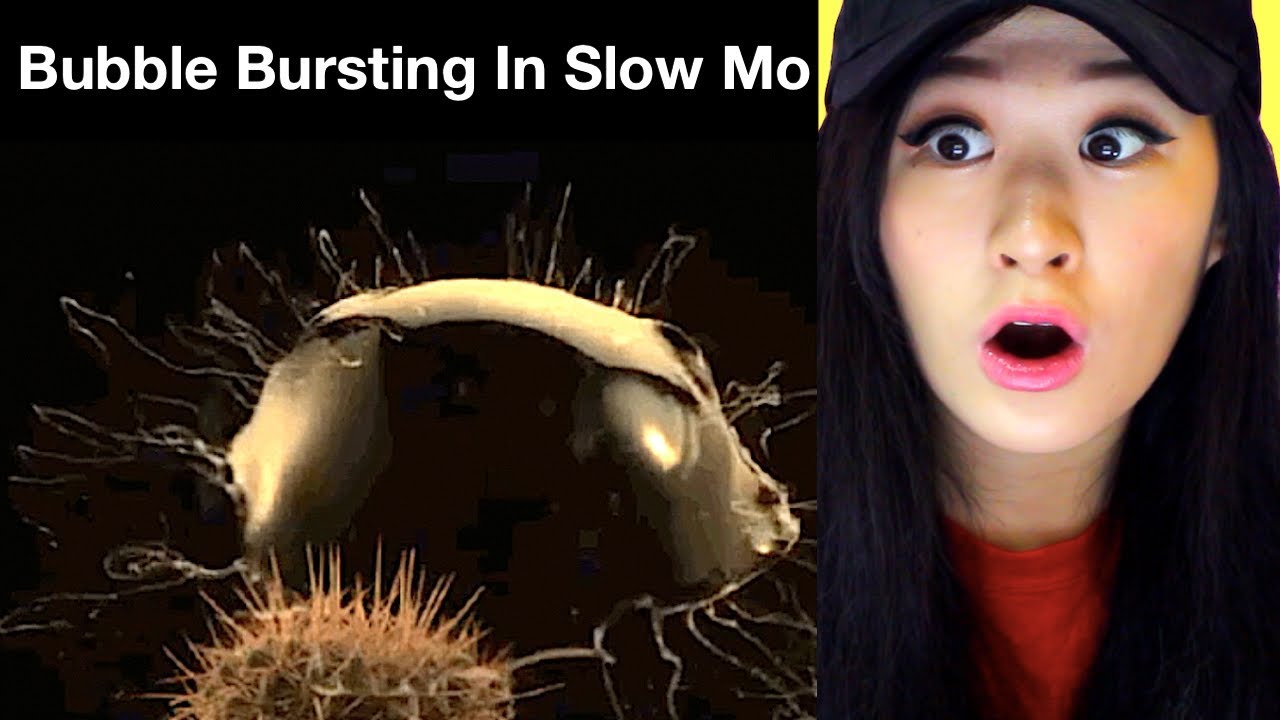 HOW THINGS WORK IN SLOW MOTION YouTube