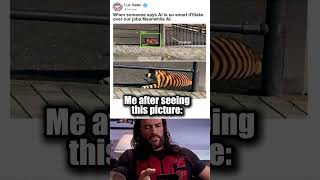 People Worried About AI Taking Over World While AI Looks At This #funny #meme #Shorts