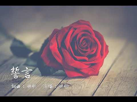 【誓言】【田歌的贊美詩歌集】【華語福音歌曲】【教堂婚禮/結婚/愛情/浪漫】