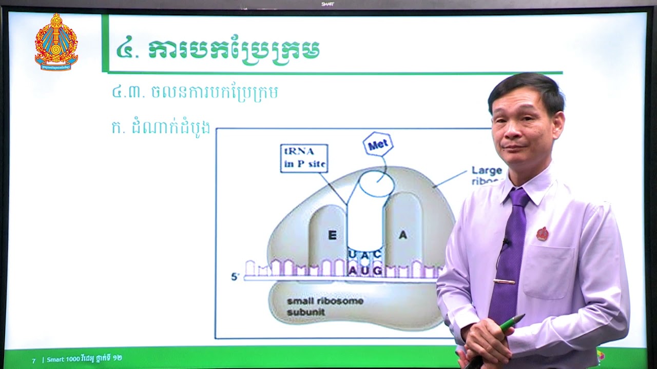 ជីវវិទ្យា ថ្នាក់ទី១២ ជំពូកទី៥ មេរៀនទី២៖​ ការសំដែងចេញនៃសែន (ភាគទី៥)