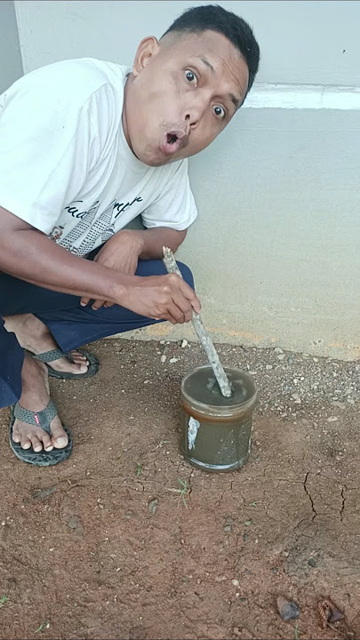 Bikin kopi #shorts #trending #funny #subscribe