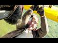 Ethan Hunt VS Gabriel Plane Fight Mission Impossible 8 The Final Reckoning Action Scene 