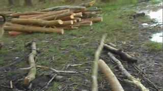 DSCN2246.AVI