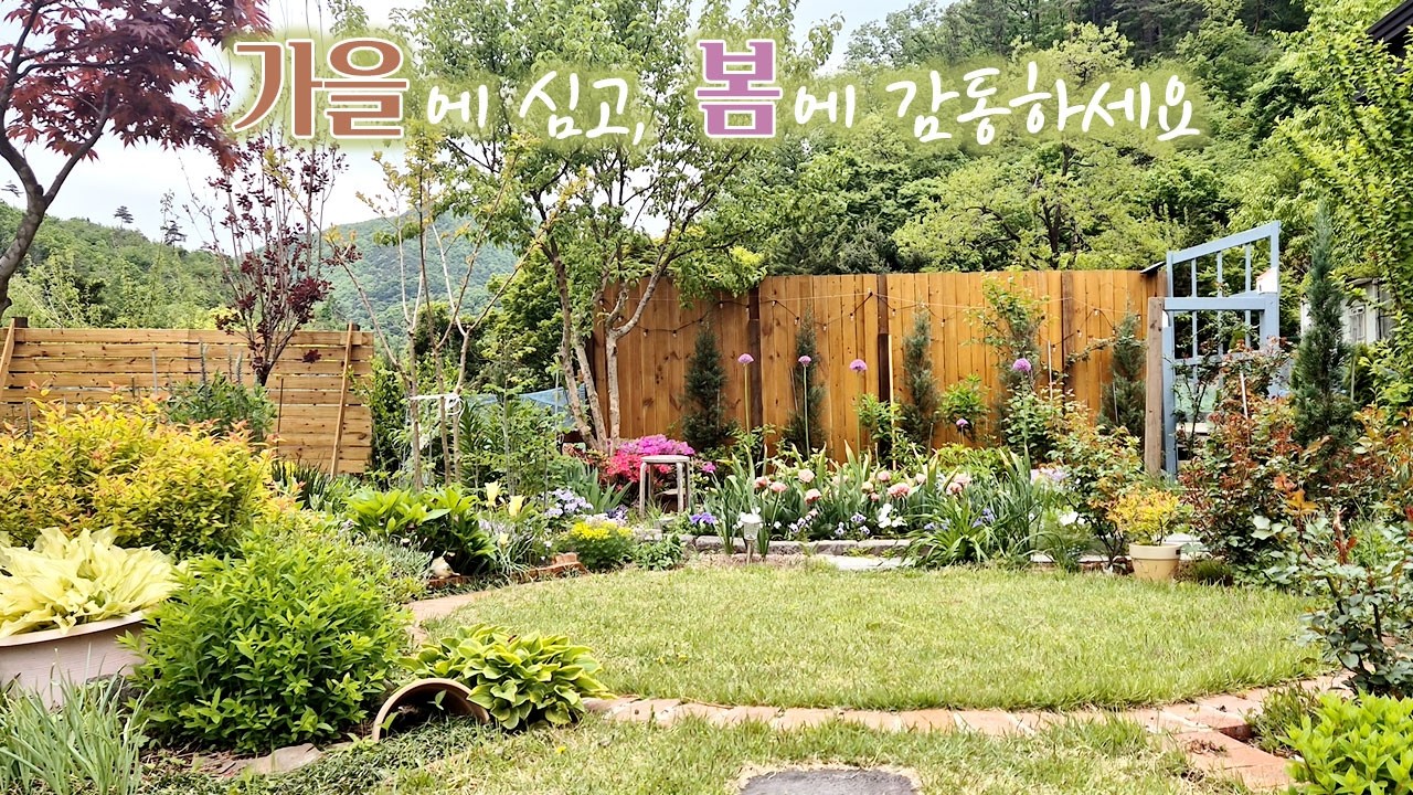 가을에 심고 봄에 감탄! 지금 심어야 할 번식왕 다년초 11종 추천