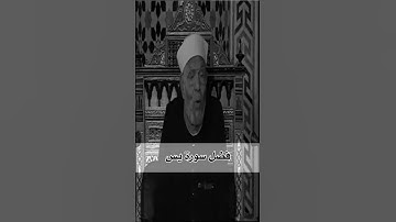 فضل سورة يس الشيخ الشعراوى