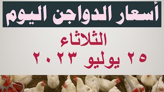 أسعار الدواجن اليوم | سعر الفراخ اليوم في مصر الثلاثاء ٢٥ يوليو ٢٠٢٣