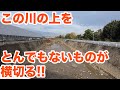 平和な川の上を横切るとんでもないものとは！？【SiphonTV204】